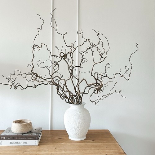 Twisted corylus natural - corylus,