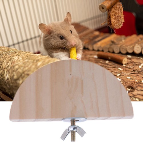 Platform perch habitat cage - ,