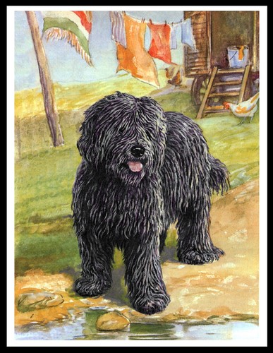 Hungarian puli lovely dog - puli, art