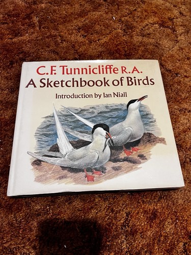 Sketchbook birds c f - birds, c.f
