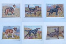 Wills Dogs Large Cigarette