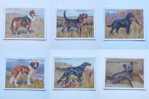 Wills dogs large cigarette - wills,