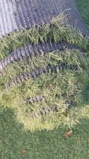 Good Quality Artificial Grass Astro Turf Natural Look approx 5m x 1.6m good cond