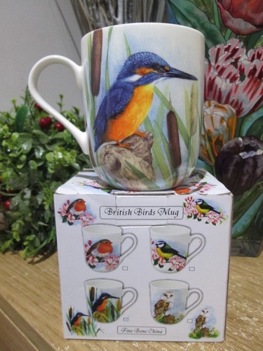 Beautiful kingfisher bird fine - kingfisher,