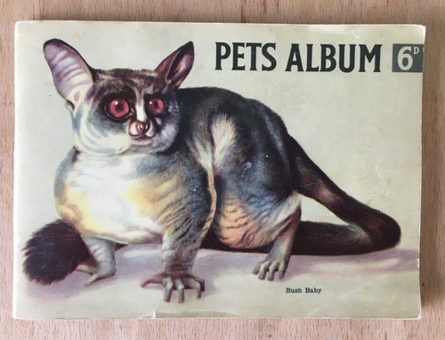 Hornimans tea pets - pets, 1960
