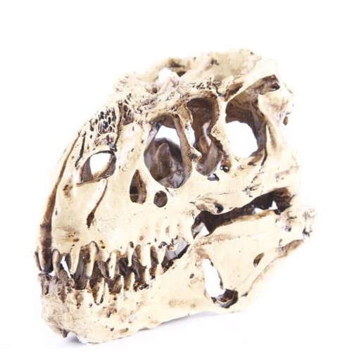 1pc tyrannosaurus rex - 1pc, skull