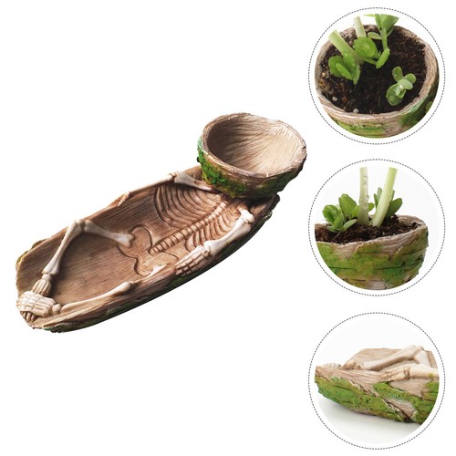 Lizard water bowl reptile - water,