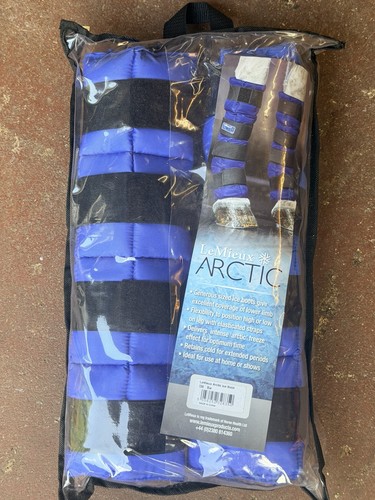Lemieux arctic ice cold - lemieux,