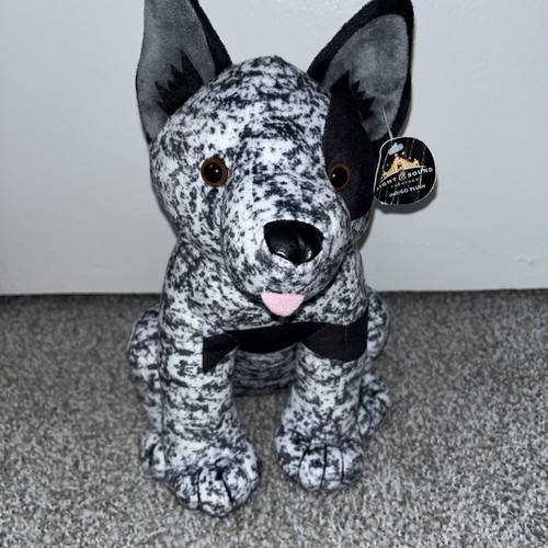 Australian cattle dog indigo - cattle,