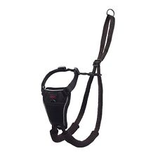 HALTI No Pull Harness For Dogs