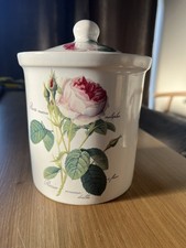 Roy Kirkham Redoute Rose Bone