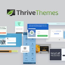 Wordpress premium theme - premium, thrive