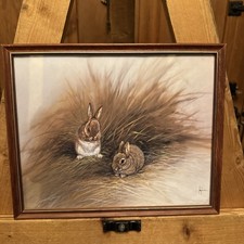 Picture Of 2 Rabbits In Grass By Nance, Framed 