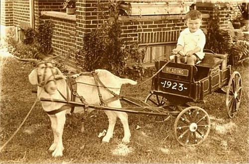 Black and white photo - and, boy