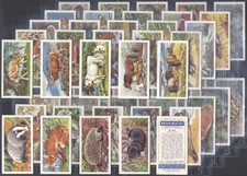 BROOKE BOND (TEA)-FULL SET-