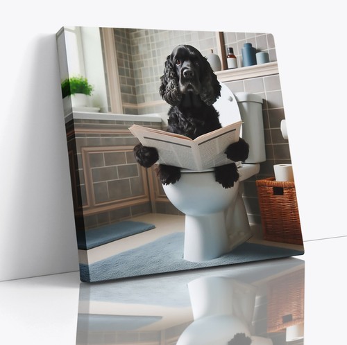 Black cocker spaniel - sat, on