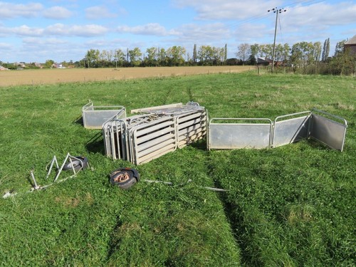 Alligator mobile sheep lamb - mobile,