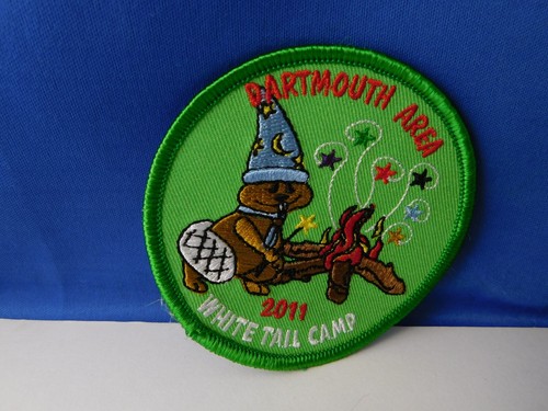 Boy scouts canada patch - boy,