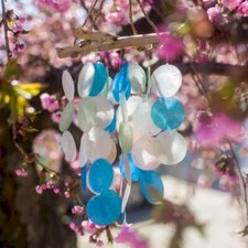 Natural Driftwood Glass Wind