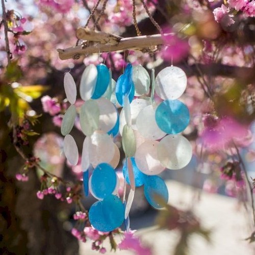 Natural driftwood glass - driftwood,