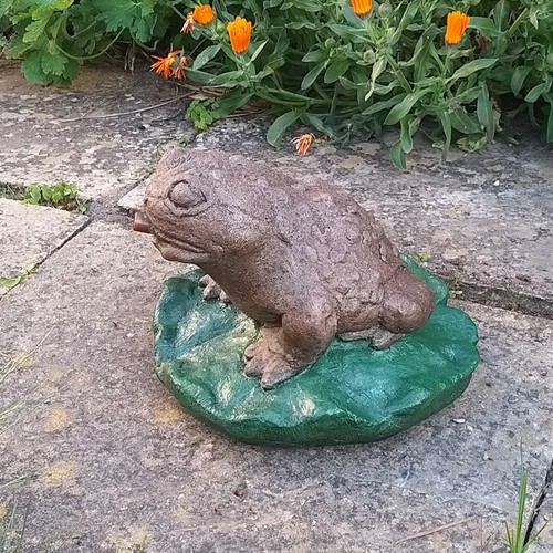 Frog toad water feature - water,
