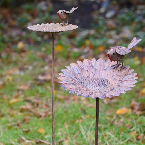 Robin sunflower bird feeder - robin,
