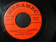 THE COUNTRY CARAVAN LOOKING