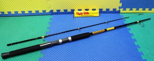 Ugly stik bigwater - bigwater, spin