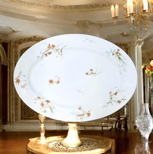 Haviland s co limoges - j,