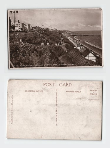 Clacton sea cliff - clacton-on-sea, gardens