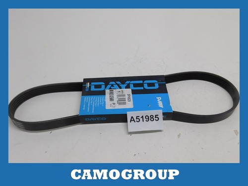 Ribbed belt 825mm - belt, for