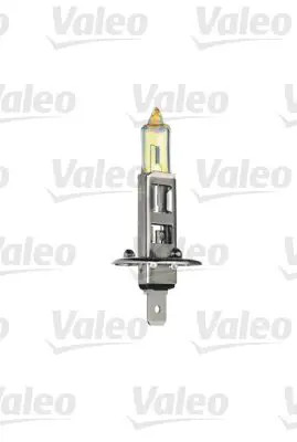 Bulb p14 032506 - h1,