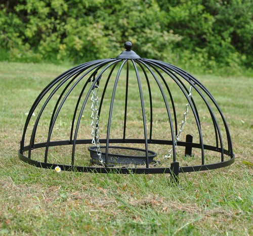 Wild garden bird ground - bird, feeder