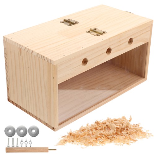 Parakeet nesting box budgie - parakeet,