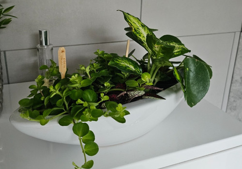 Unique flower pot - pot, planter