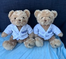 Drayton Manor Park resort