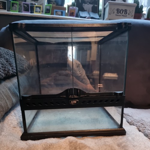 Exo terra glass - glass, terrarium
