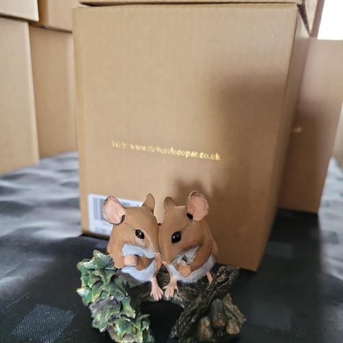 Boxed richard cooper - richard,