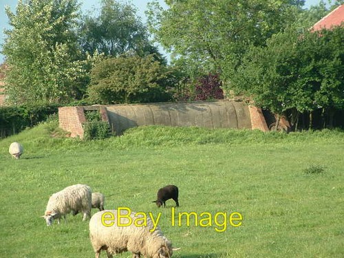 Photo 6x4 pollington world - world, war