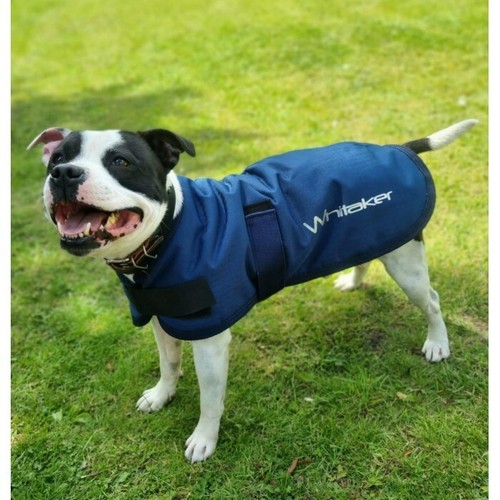 John whitaker weir dog - whitaker,