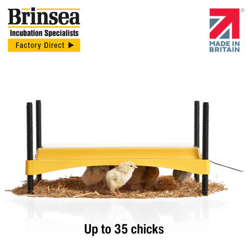 Brinsea ecoglow safety 1200 - ecoglow,