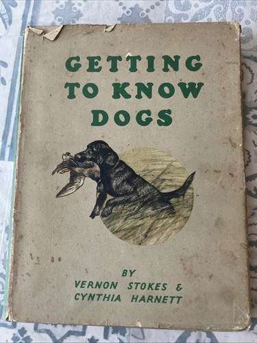 Getting know dogs vernon - to,