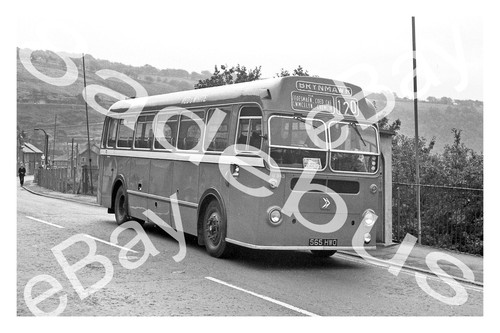 Bus photograph red white - bus,