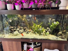 Juwel rio 450l fish tank - juwel,