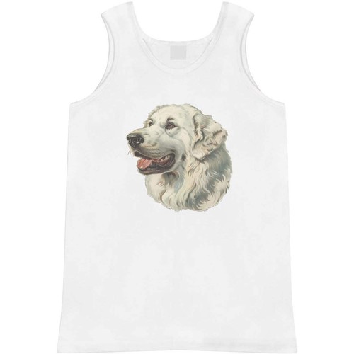 Pyrenean mountain dog adult - dog',