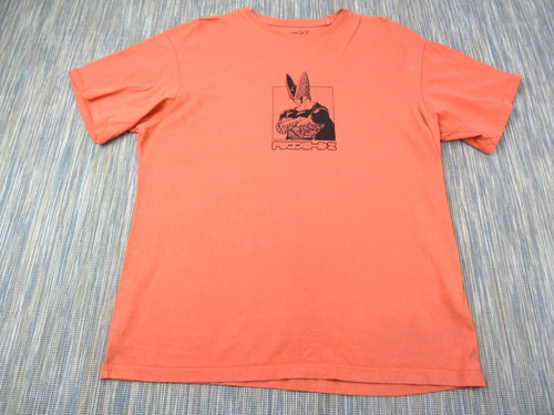 Pull bear dragon ball t - bear, z