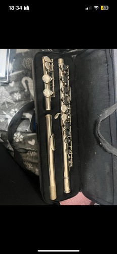 Flute musical instrument - flute,