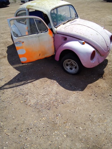 Volkswagen beetle wing - volkswagen,