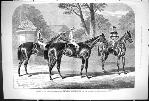Old 1875 northumberland plate - 1875,