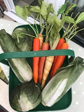 Collectable Gardeners World Trug with realistic Veg - Film Drawing Prop